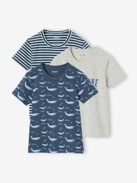 Pack of 3 'Whale' short-sleeved t-shirts for boys ocean blue 