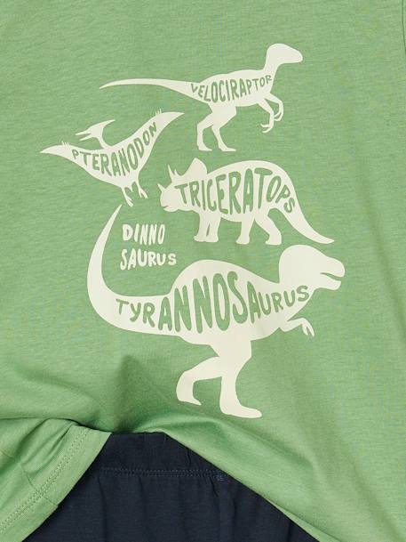 Pack of 2 Dino Pyjamas for Boys green 
