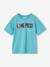 ONE PIECE Logo T-Shirt grey blue 