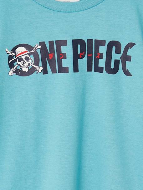 ONE PIECE Logo T-Shirt grey blue 