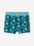 Tropical Print Swim Trunks for Boys fir green 
