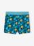 Tropical Print Swim Trunks for Boys fir green 