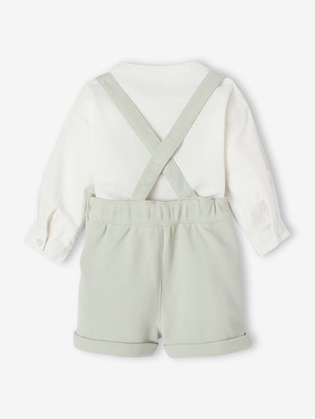 Occasion Wear Outfit: Shirt & Shorts for Babies beige+sage green 
