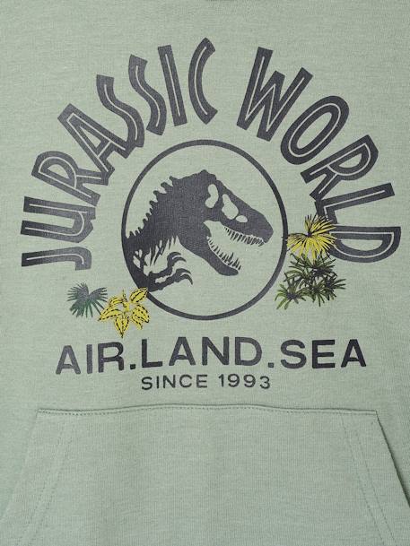 Jurassic World® Hooded Sweatshirt lichen 