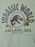 Jurassic World® Hooded Sweatshirt lichen 