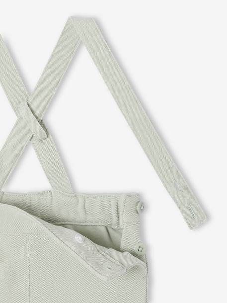 Occasion Wear Outfit: Shirt & Shorts for Babies beige+sage green 