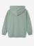 Jurassic World® Hooded Sweatshirt lichen 