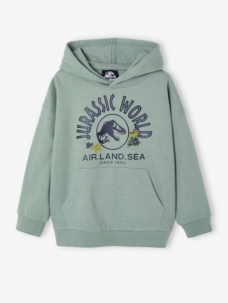 Jurassic World® Hooded Sweatshirt lichen 