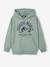 Jurassic World® Hooded Sweatshirt lichen 