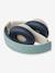 Quinn LIEWOOD printed wireless headphones blue+rose 