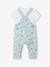 3-piece baby outfit: dungarees + bodysuit + scarf blue 