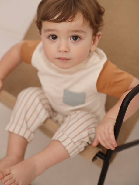 Short Sleeve Colourblock T-shirt, for Babies Dark Green+hazel 