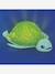 Turtle fountain 'Ludi Splash' LUDI blue 