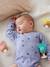 3 suction cup rattles - HAPE animals multicoloured 
