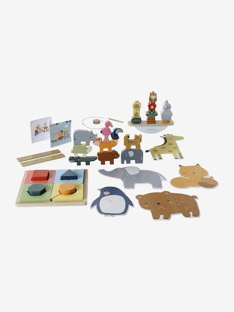 Discovery set: FINE MOTOR SKILLS, PROBLEM SOLVING, CONCENTRATION AND BALANCE in FSC® wood multicoloured 