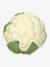 Vegetable Soup Sensory Balls, OLI & CAROL multicoloured 