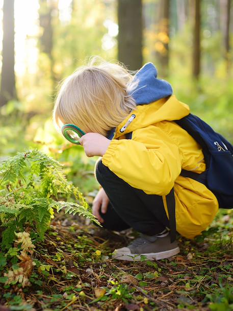 HAPE nature discovery set green 