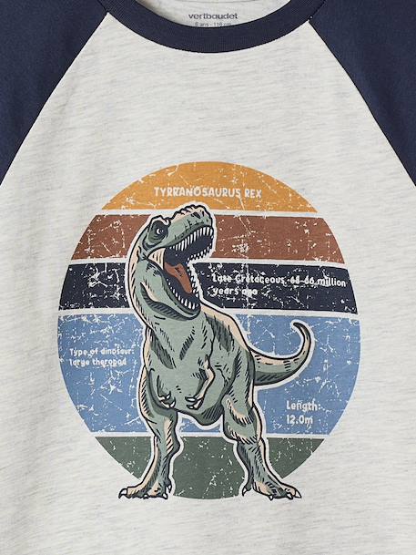 Top with Graphic Motif & Raglan Sleeves for Boys khaki+lichen+marl white+pecan nut 