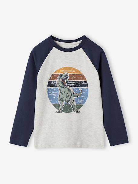 Top with Graphic Motif & Raglan Sleeves for Boys khaki+lichen+marl white+pecan nut 
