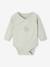 Pack of 2 Long-Sleeved Bodysuits, Newborn Special aqua green 