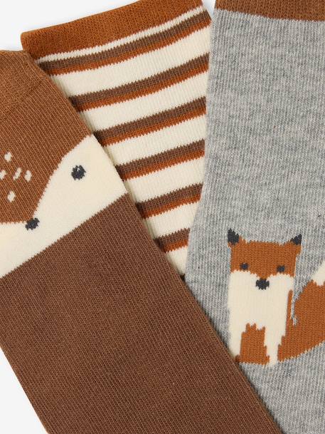 Pack of 3 Pairs of 'Fox' Socks for Baby Boys terracotta 