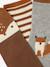 Pack of 3 Pairs of 'Fox' Socks for Baby Boys terracotta 