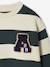 Sweatshirt with Wide Stripes & Bouclé Badge for Boys striped blue+striped green+striped red 