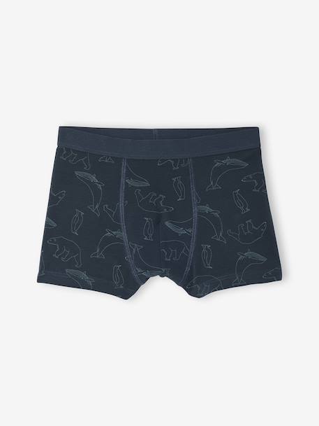 Pack of 7 Striped & Bear Print Boxers for Boys green 