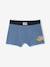 Pack of 5 Car Boxer Shorts for Boys double stone 