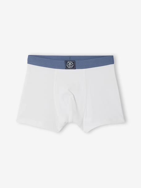 Pack of 5 Plain Boxers for Boys blue 