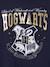 Sportswear set sweatshirt + trouser HARRY POTTER® in fleece navy blue 
