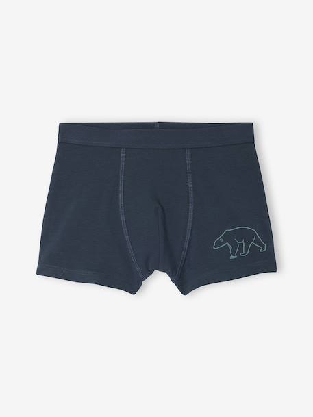 Pack of 7 Striped & Bear Print Boxers for Boys green 