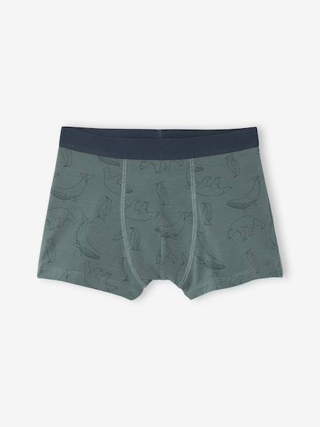 Pack of 7 Striped & Bear Print Boxers for Boys green 