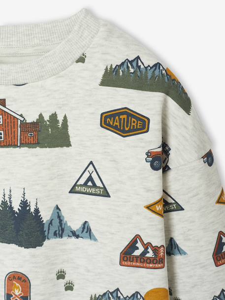 Printed Sweatshirt for Boys marl beige+medium blue+sage green 