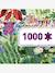 Puzzle gallery 1000pcs - rainbow tiger DJECO multicoloured 