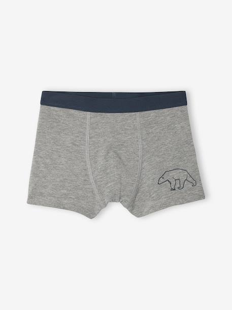 Pack of 7 Striped & Bear Print Boxers for Boys green 