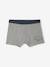Pack of 7 Striped & Bear Print Boxers for Boys green 