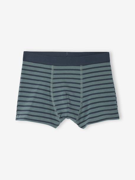 Pack of 7 Striped & Bear Print Boxers for Boys green 