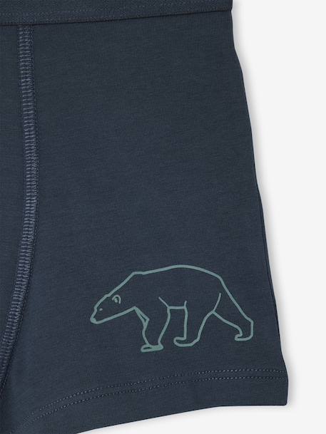 Pack of 7 Striped & Bear Print Boxers for Boys green 