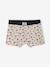 Pack of 5 Car Boxer Shorts for Boys double stone 