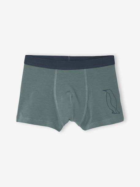 Pack of 7 Striped & Bear Print Boxers for Boys green 