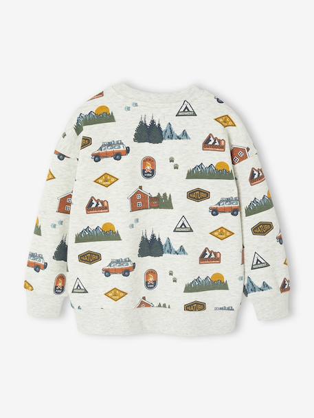 Printed Sweatshirt for Boys marl beige+medium blue+sage green 