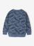 Printed Sweatshirt for Boys marl beige+medium blue+sage green 
