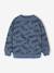 Printed Sweatshirt for Boys marl beige+medium blue+sage green 
