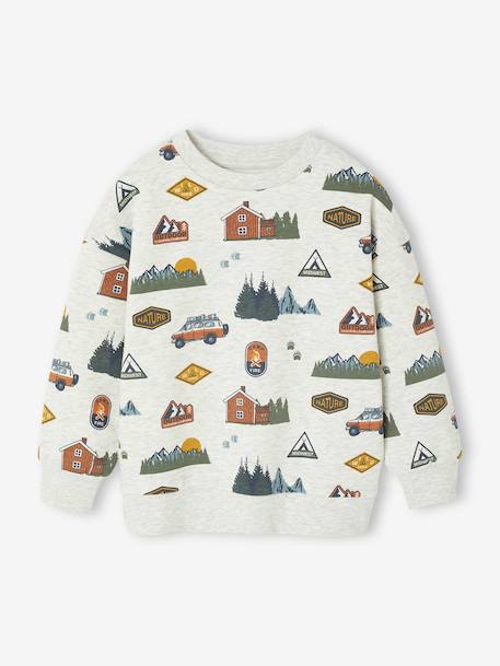 Printed Sweatshirt for Boys marl beige+medium blue+sage green 