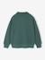 Embroidered Funnel-Neck Sweatshirt for Boys green 