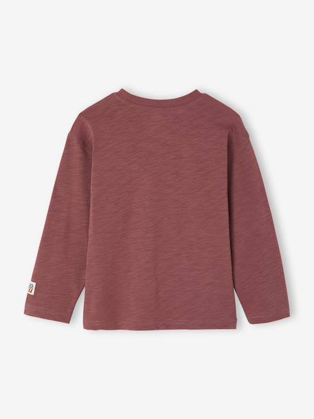 Flocked Long-Sleeved T-Shirt for Boys dusky pink+sage green 