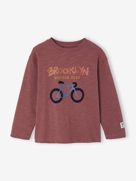 Flocked Long-Sleeved T-Shirt for Boys dusky pink+sage green 