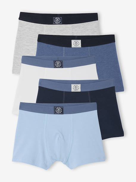 Pack of 5 Plain Boxers for Boys blue 