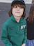 Embroidered Funnel-Neck Sweatshirt for Boys green 
